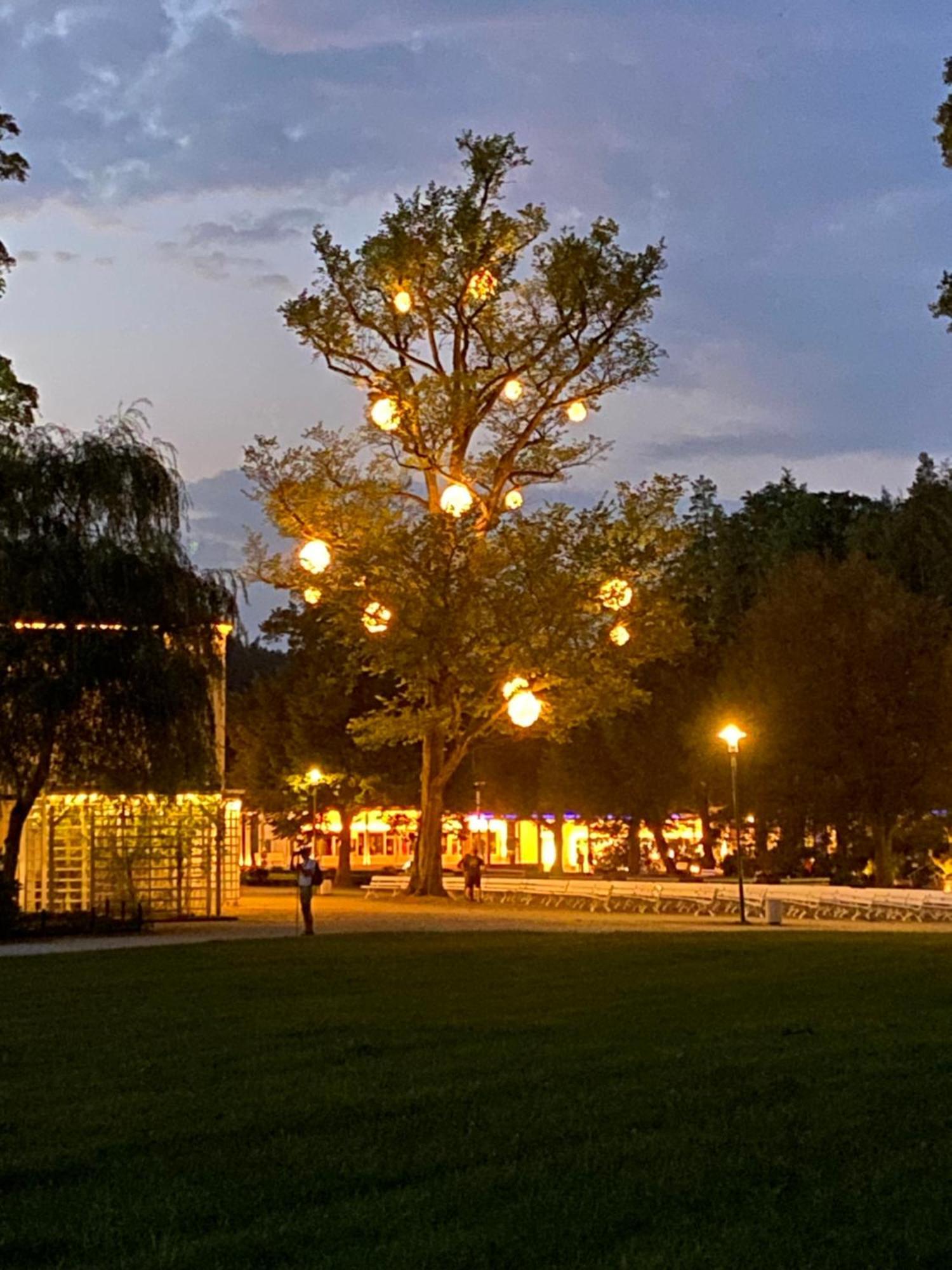 Fewo Roland Ranft Direkt Am Kurpark Barrierearm 60Qm Bad Elster Kültér fotó